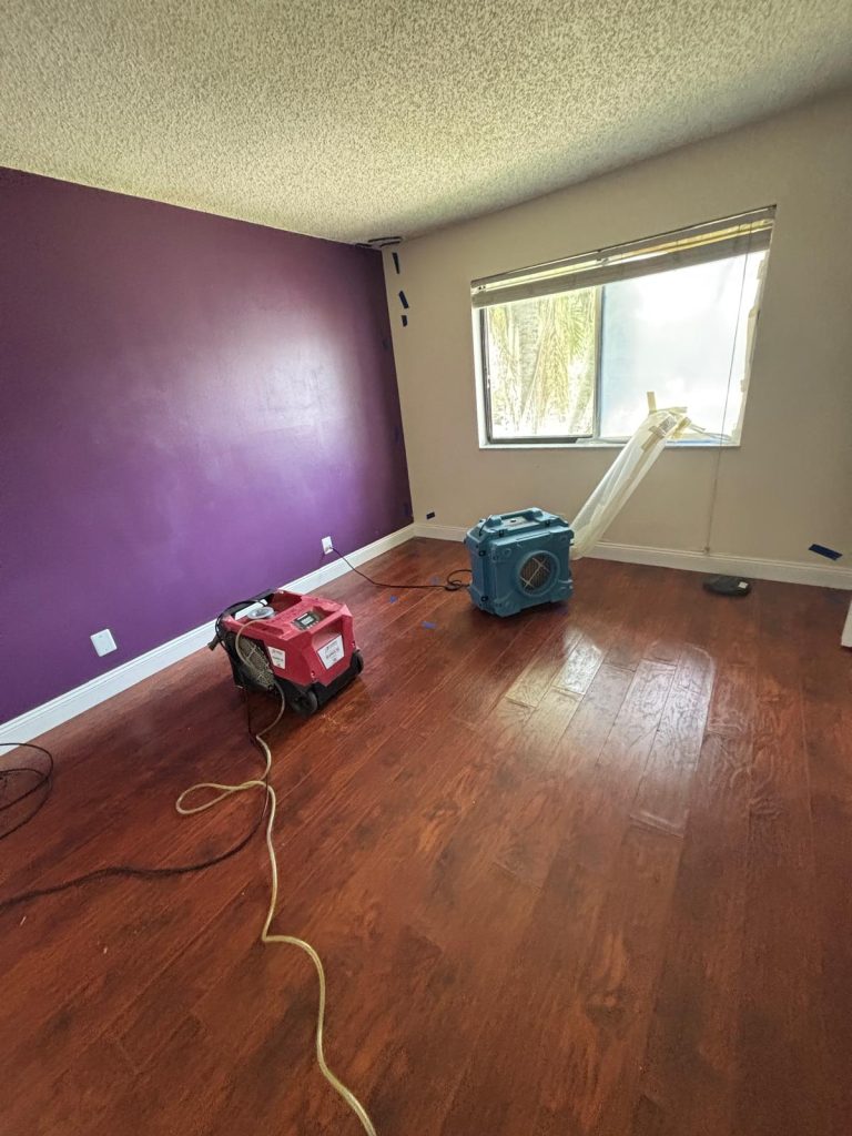 WhatsApp Image 2026-02-18 at 16.15.59 (1)