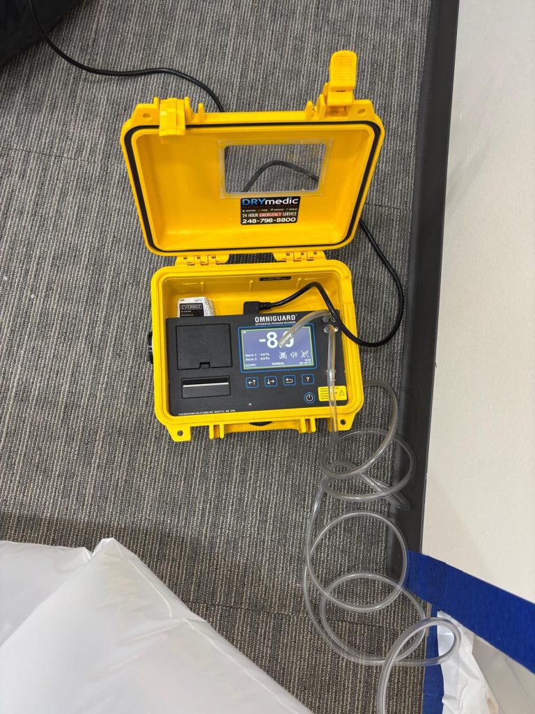 WhatsApp Image 2026-02-18 at 16.16.16